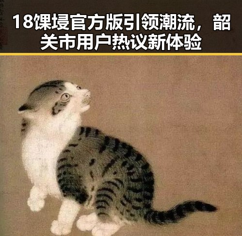 18馃埐官方版引领潮流,韶关市用户热议新体验