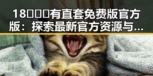 18❌❌❌有直套免费版官方版:探索最新官方资源与免费体验