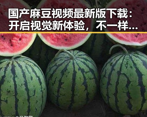 国产麻豆视频最新版下载：开启视觉新体验，不一样的精彩
