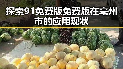 探索91免费版免费版在亳州市的应用现状