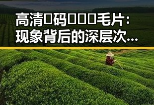 高清🈚码🔞❌♋毛片：现象背后的深层次解读
