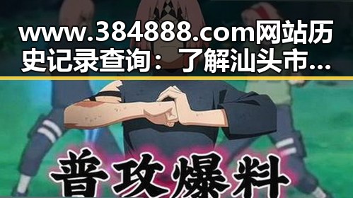 www.384888.com网站历史记录查询：了解汕头市的数字轨迹