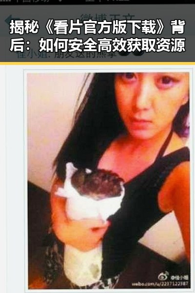 揭秘《看片官方版下载》背后:如何安全高效获取资源