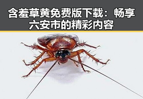 含羞草黄免费版下载:畅享六安市的精彩内容