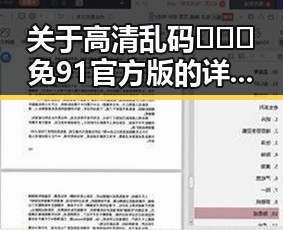 关于高清乱码🔞❌♋免91官方版的详细介绍与应用分析