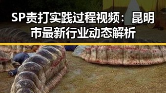 SP责打实践过程视频：昆明市最新行业动态解析