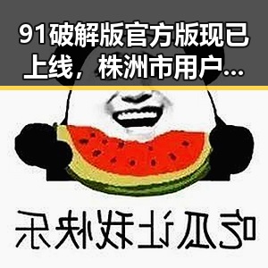 91破解版官方版现已上线,株洲市用户期待已久的最新版本