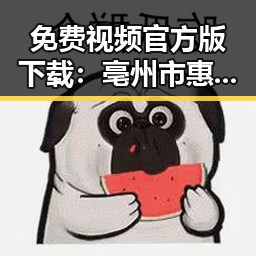 免费视频官方版下载：亳州市惠民娱乐新选择