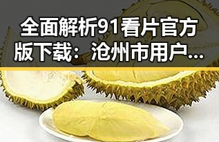 全面解析91看片官方版下载：沧州市用户的最佳选择