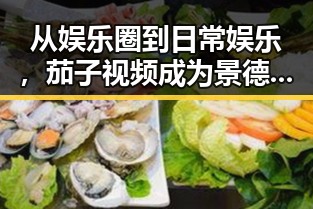 从娱乐圈到日常娱乐,茄子视频成为景德镇市居民新宠