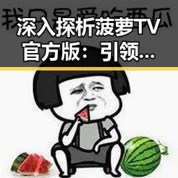 深入探析菠萝TV官方版：引领汉中市在线视频新潮流