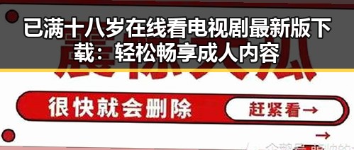 已满十八岁在线看电视剧最新版下载:轻松畅享成人内容