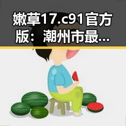 嫩草17.c 91官方版:潮州市最新热门资源解析