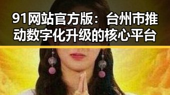91网站官方版:台州市推动数字化升级的核心平台