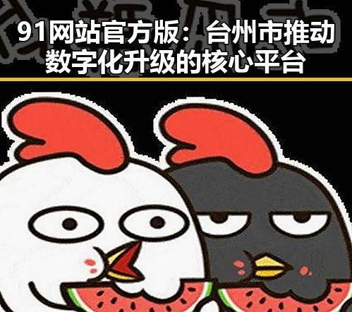 91网站官方版:台州市推动数字化升级的核心平台