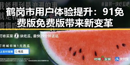 鹤岗市用户体验提升:91免费版免费版带来新变革