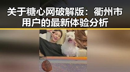 关于糖心网破解版:衢州市用户的最新体验分析