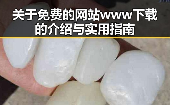 关于免费的网站www下载的介绍与实用指南