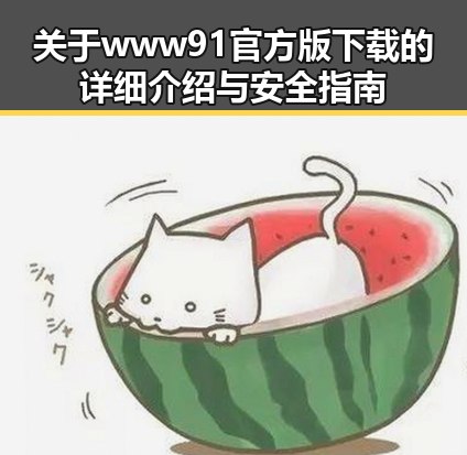 关于www91官方版下载的详细介绍与安全指南
