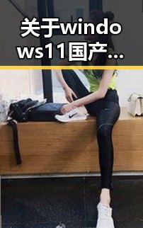 关于windows11国产免费软件官方版的全面介绍