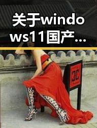 关于windows11国产免费软件官方版的全面介绍