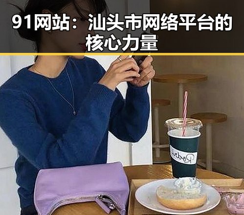 91网站：汕头市网络平台的核心力量