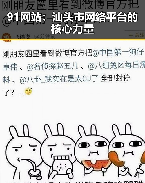 91网站：汕头市网络平台的核心力量