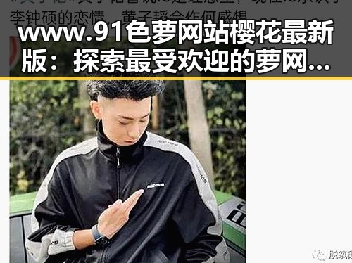 www.91色 萝网站樱花最新版：探索最受欢迎的萝网站体验