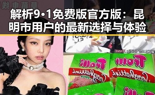 解析9·1免费版官方版:昆明市用户的最新选择与体验