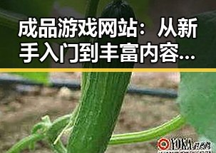 成品游戏网站:从新手入门到丰富内容的全攻略