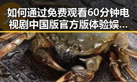 如何通过 免费观看60分钟电视剧中国版官方版体验娱乐热潮？