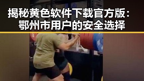 揭秘黄色软件下载官方版:鄂州市用户的安全选择
