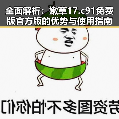全面解析：嫩草17.c 91免费版官方版的优势与使用指南