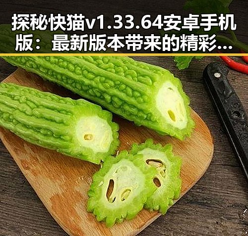 探秘快猫v1.33.64 安卓手机版：最新版本带来的精彩体验