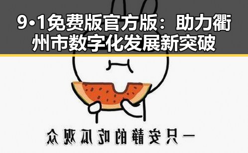 9·1免费版官方版：助力衢州市数字化发展新突破