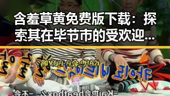 含羞草黄免费版下载：探索其在毕节市的受欢迎程度