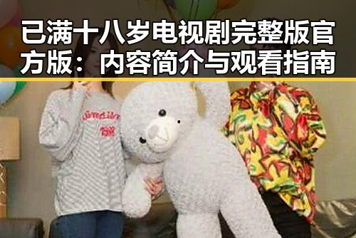 已满十八岁电视剧完整版官方版：内容简介与观看指南