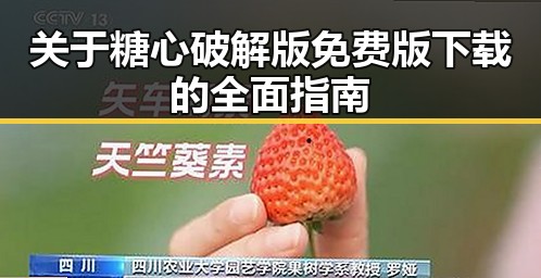 关于糖心破解版免费版下载的全面指南