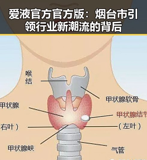 爱液官方官方版:烟台市引领行业新潮流的背后