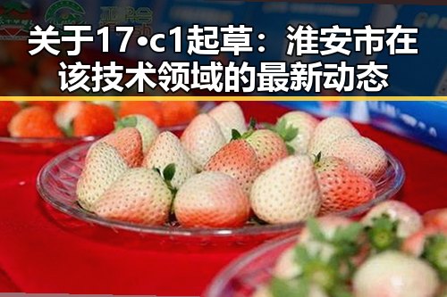 关于17·c1起草：淮安市在该技术领域的最新动态