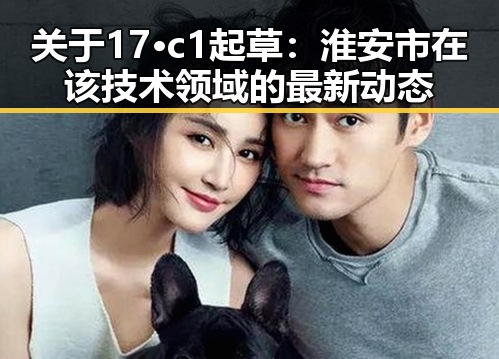关于17·c1起草：淮安市在该技术领域的最新动态