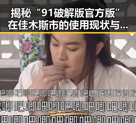 揭秘“91破解版官方版”在佳木斯市的使用现状与发展趋势