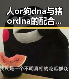 人or狗dna与猪ordna的配合与防治官方版：最新研究与应用分析