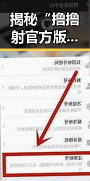 揭秘“撸撸射官方版”在合肥市的发展与现状