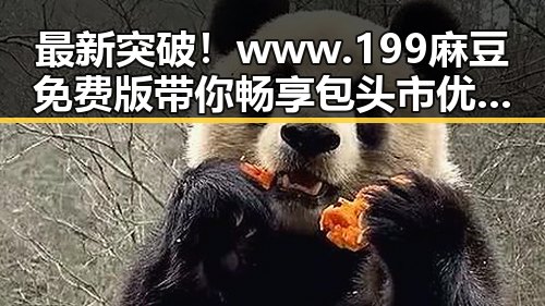 最新突破！www.199麻豆免费版带你畅享包头市优质资源
