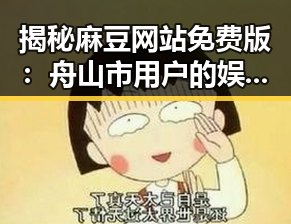 揭秘麻豆网站免费版:舟山市用户的娱乐新体验