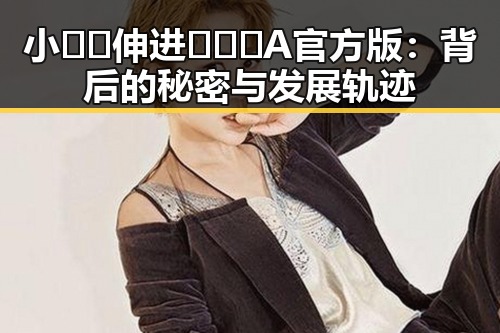 小🐔🐔伸进🈲🔞🔞A官方版:背后的秘密与发展轨迹