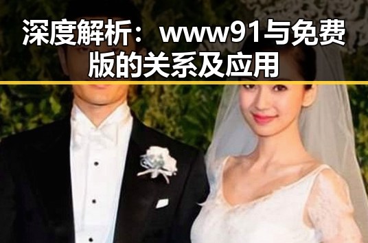 深度解析:www91与免费版的关系及应用