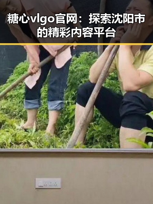 糖心vlgo官网：探索沈阳市的精彩内容平台