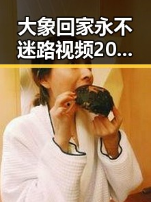大象回家永不迷路视频2023最新版:感受动物温情的最新纪录